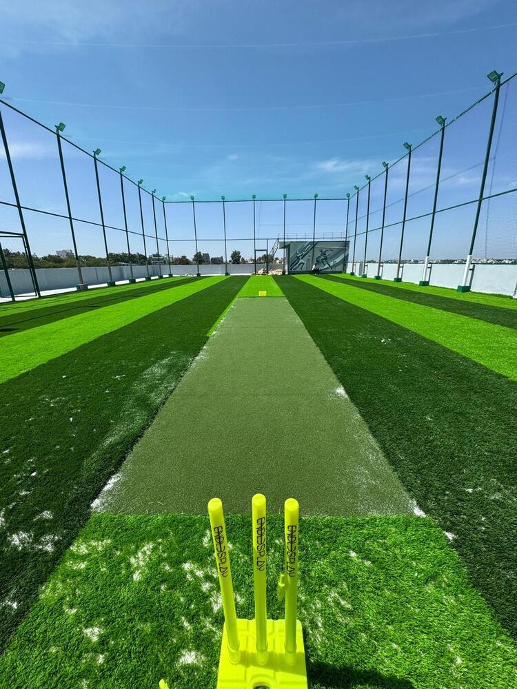 Cricket Net