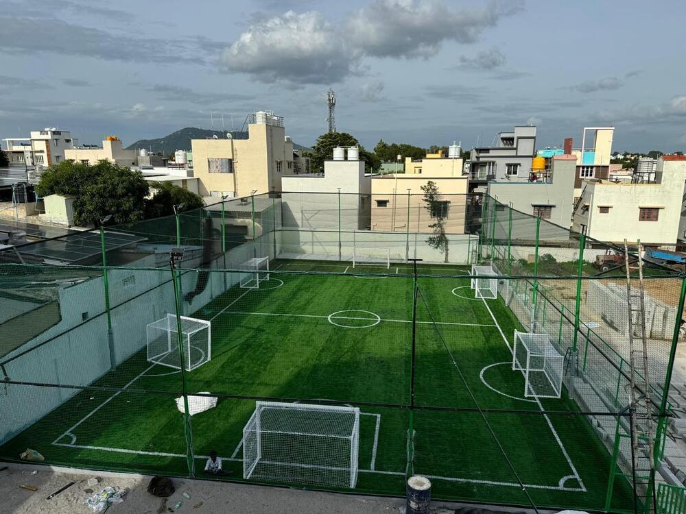 Cricket Net