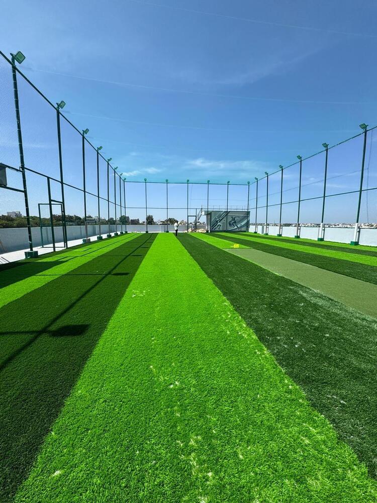 Cricket Net