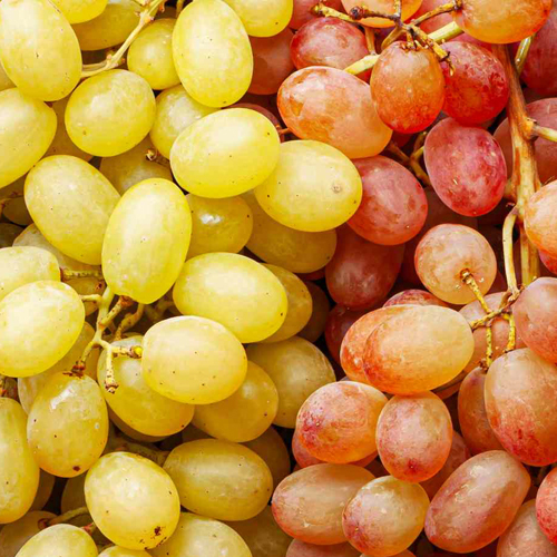 Nashik Grapes