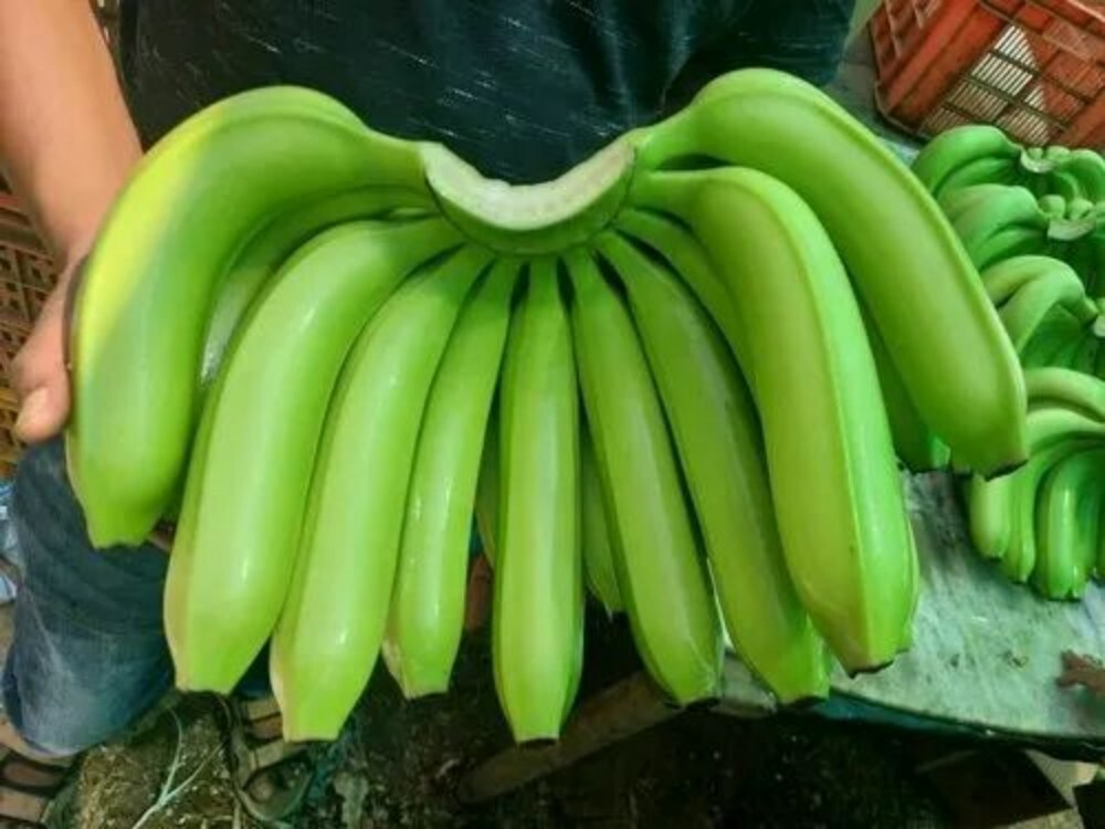 Raw Banana - Color: Green