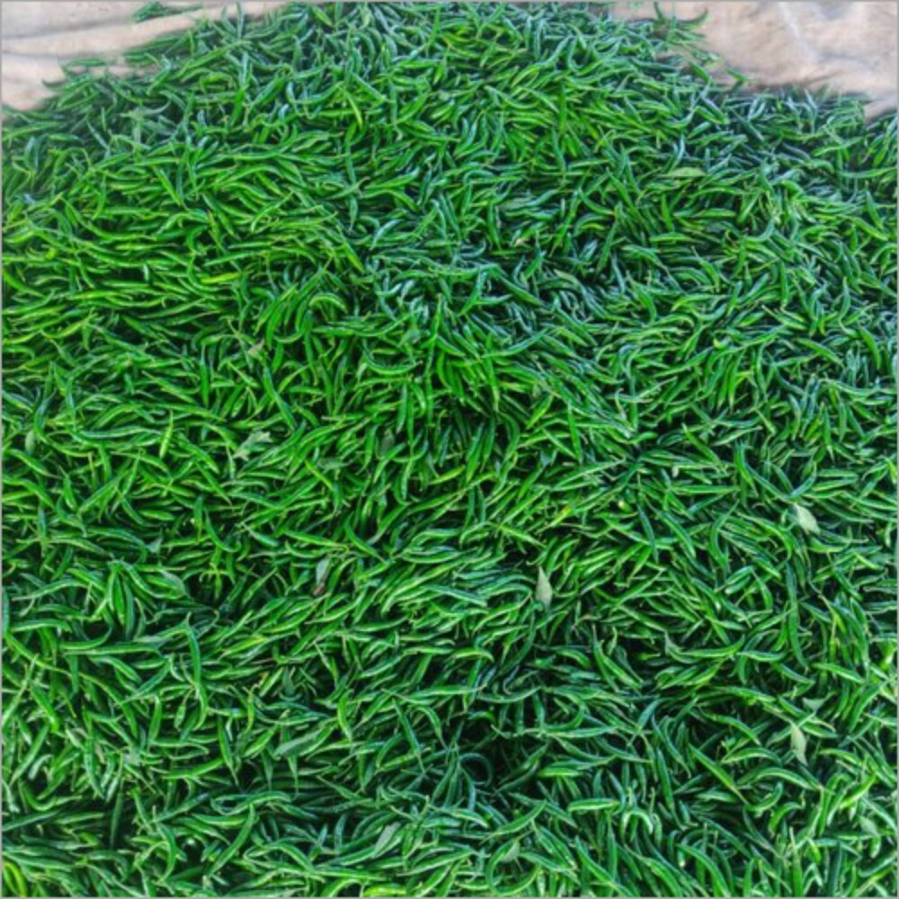 Green Chilli - Cultivation Type: Organic