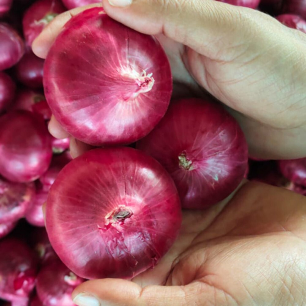 Red Onion - Cultivation Type: Organic