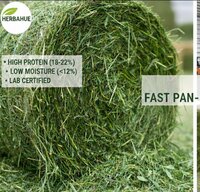Alfalfa Hay Grass