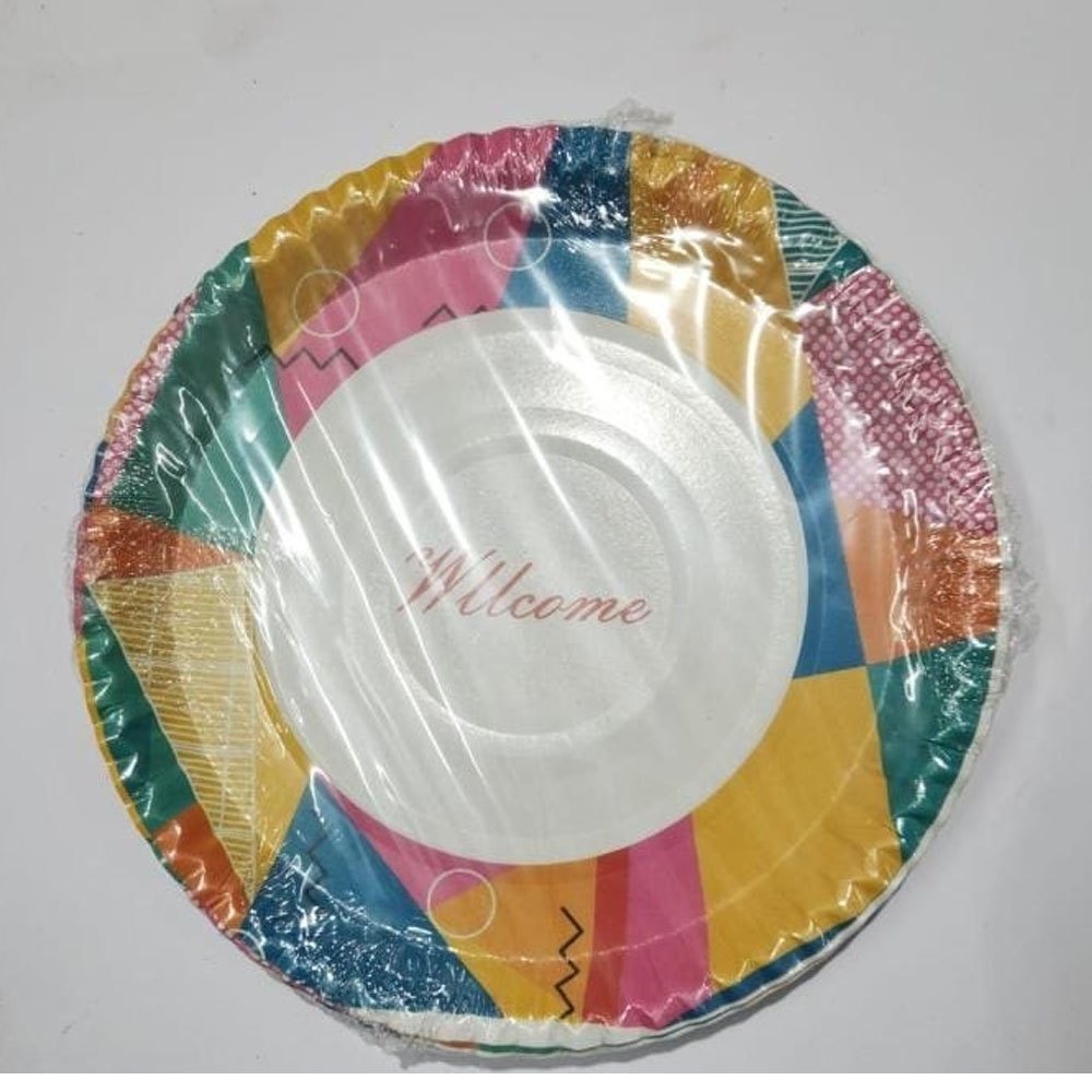 13inch Printed Paper Plate