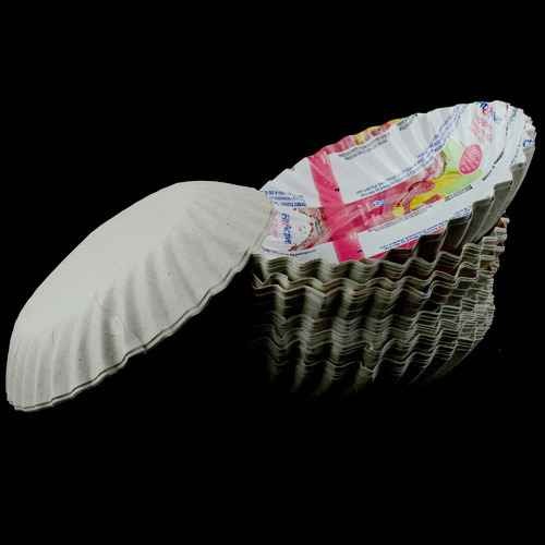 13inch Printed Paper Plate