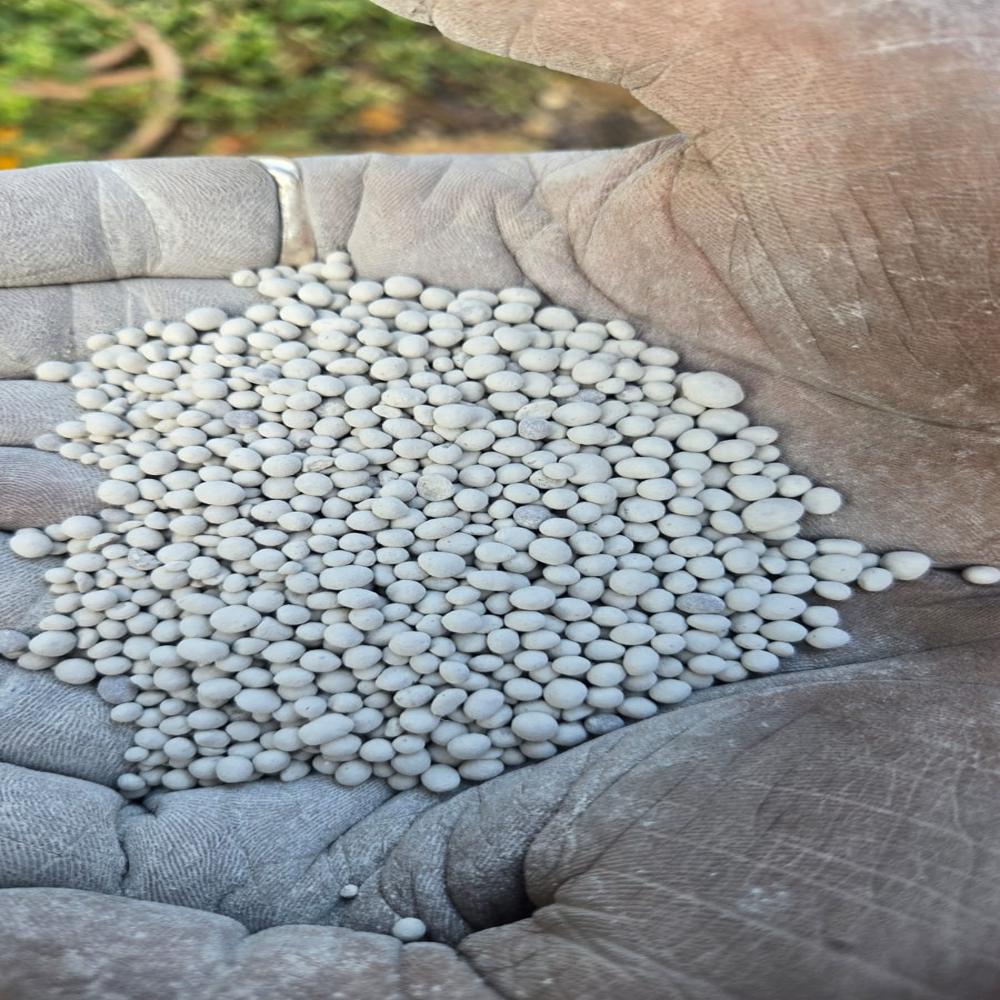 Gypsum CMS  Granuels