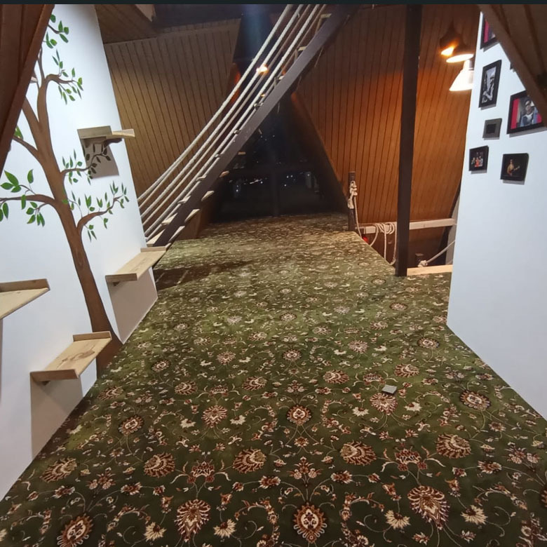 Designer Wall To Wall Carpet