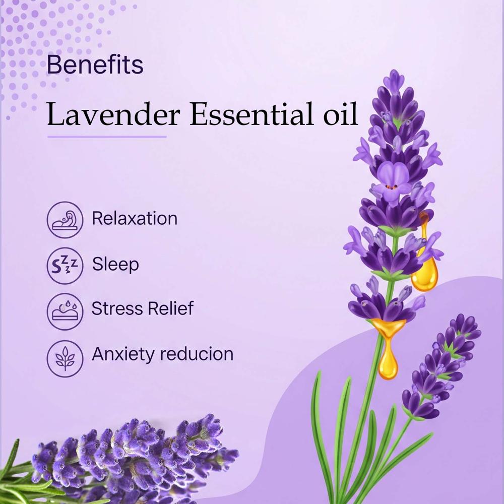 Turcy Lavender Essential Oil | Pure & Natural | Skin Healing, Hair & Scalp Care, Aromatherapy & Massage Oil(60ml)