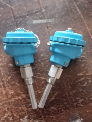 RTD PT100  Temperature Sensor