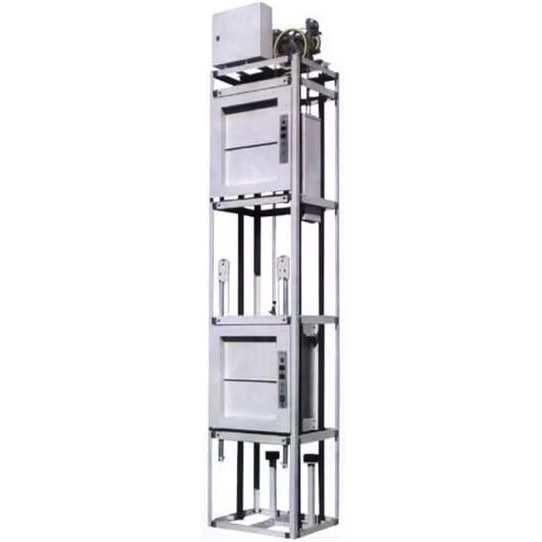 DL600 Metal Shaft Home Lift
