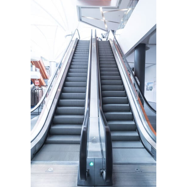 SS Dual Stair Escalator