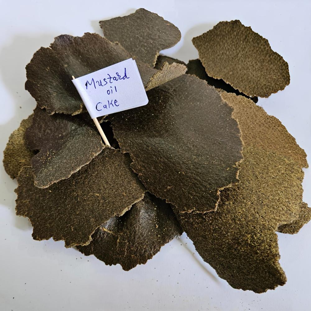 Mustard Cake And Powder