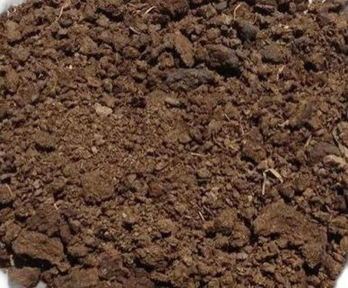 Raw Cow Dung