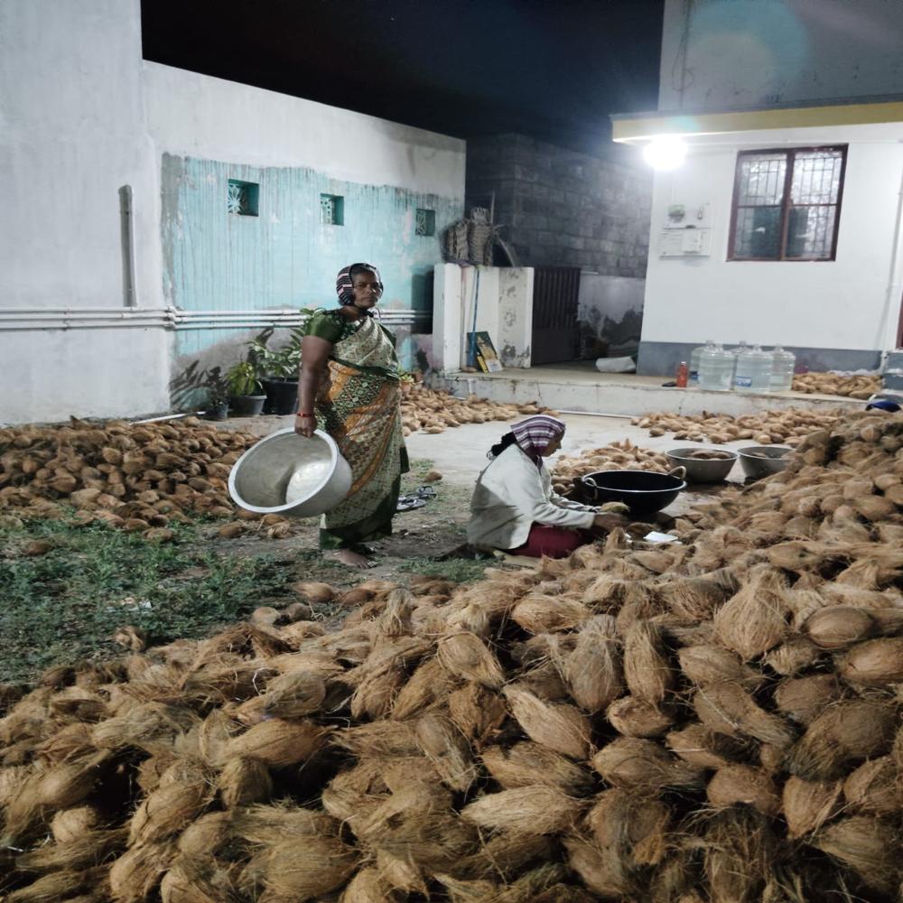 Semi Husked Coconut