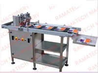 Pouch Feeder Inkjet Coding Machine