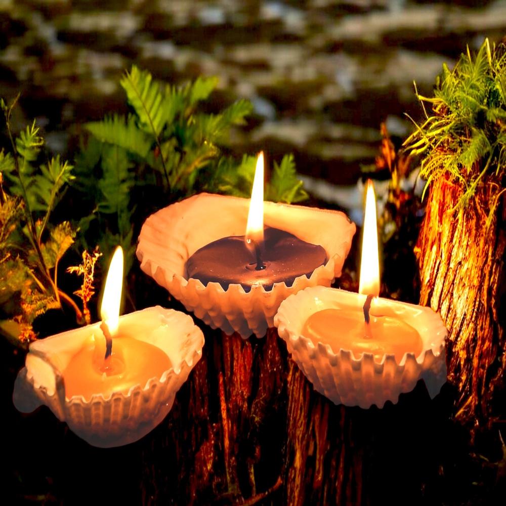 Sea Shell Candle - Color: White