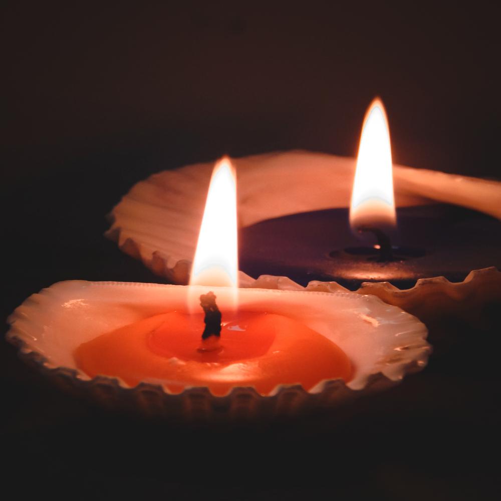 Sea Shell Candle - Color: White