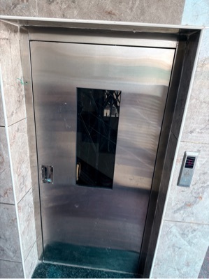 SS Swing Door