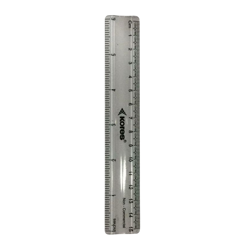 6 Inch Plastic Scale