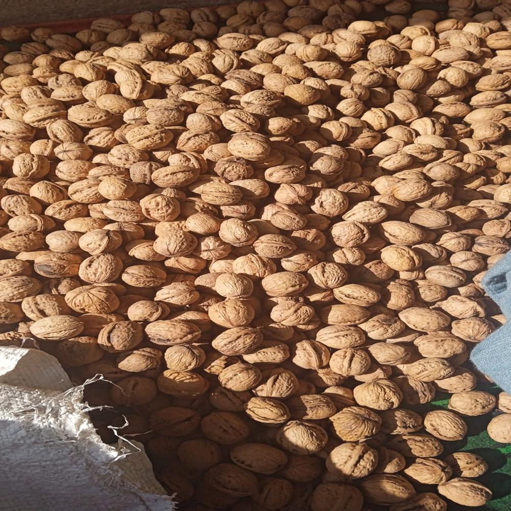 Kashmiri High Quality Pure Walnut