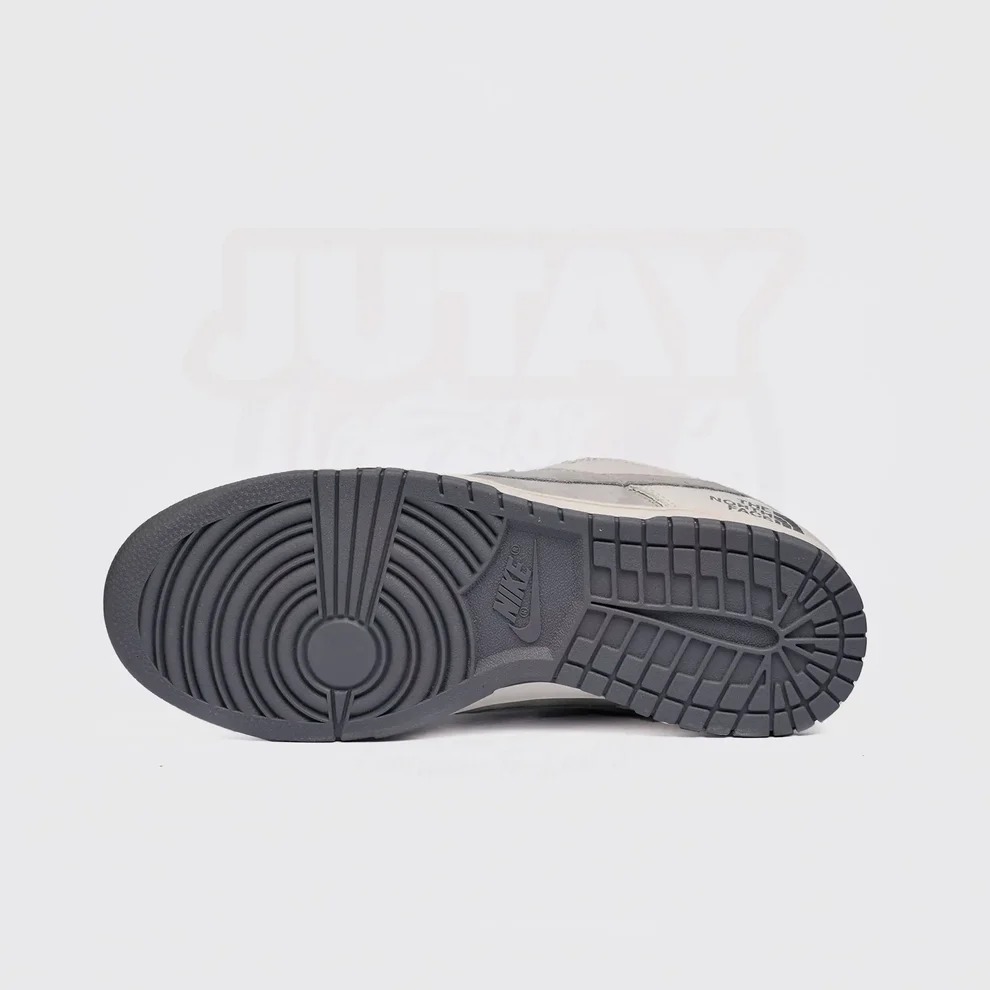 SB Dunk Low The North Face