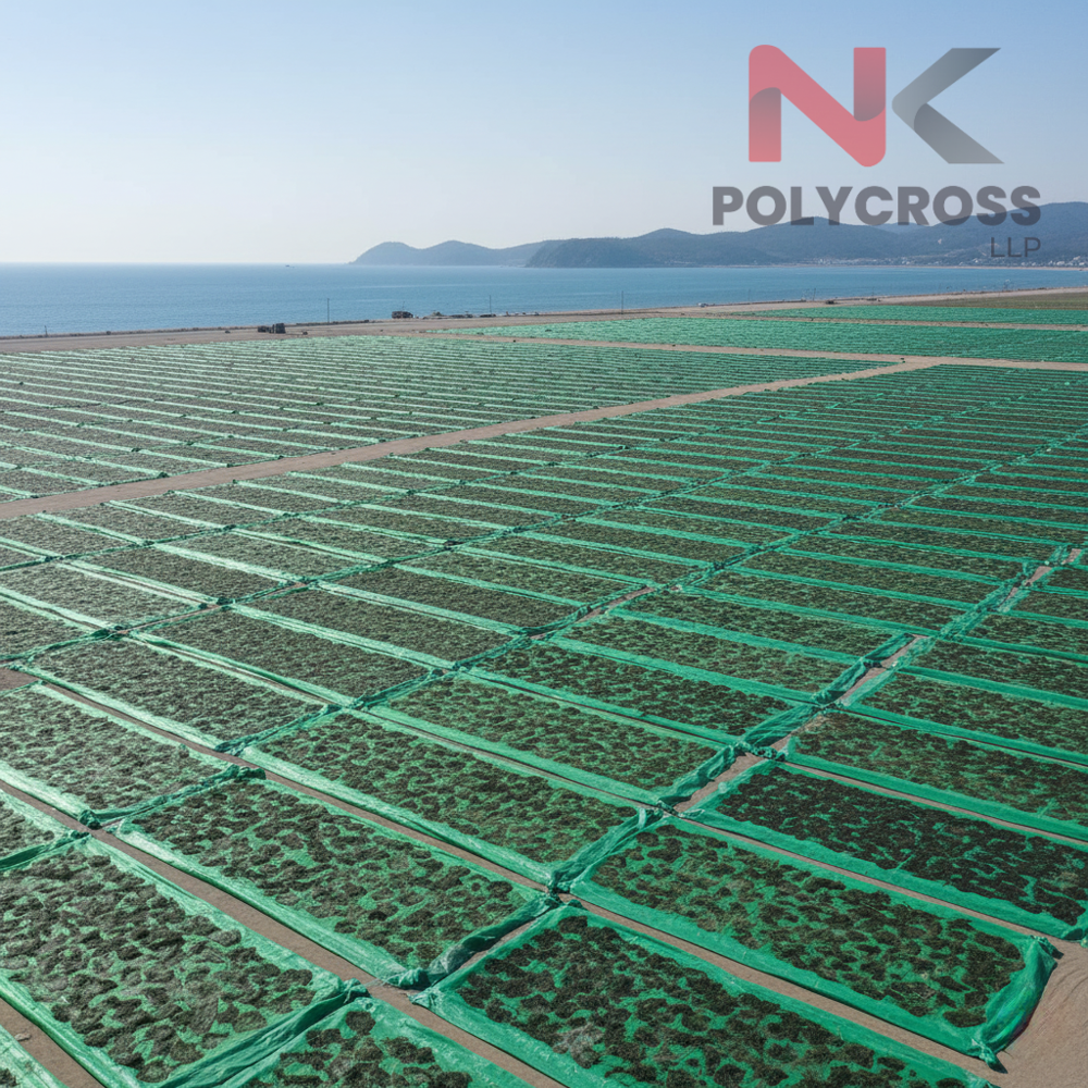 Seaweed Drying Sheet