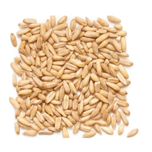 Oat Groats KDHO Oats