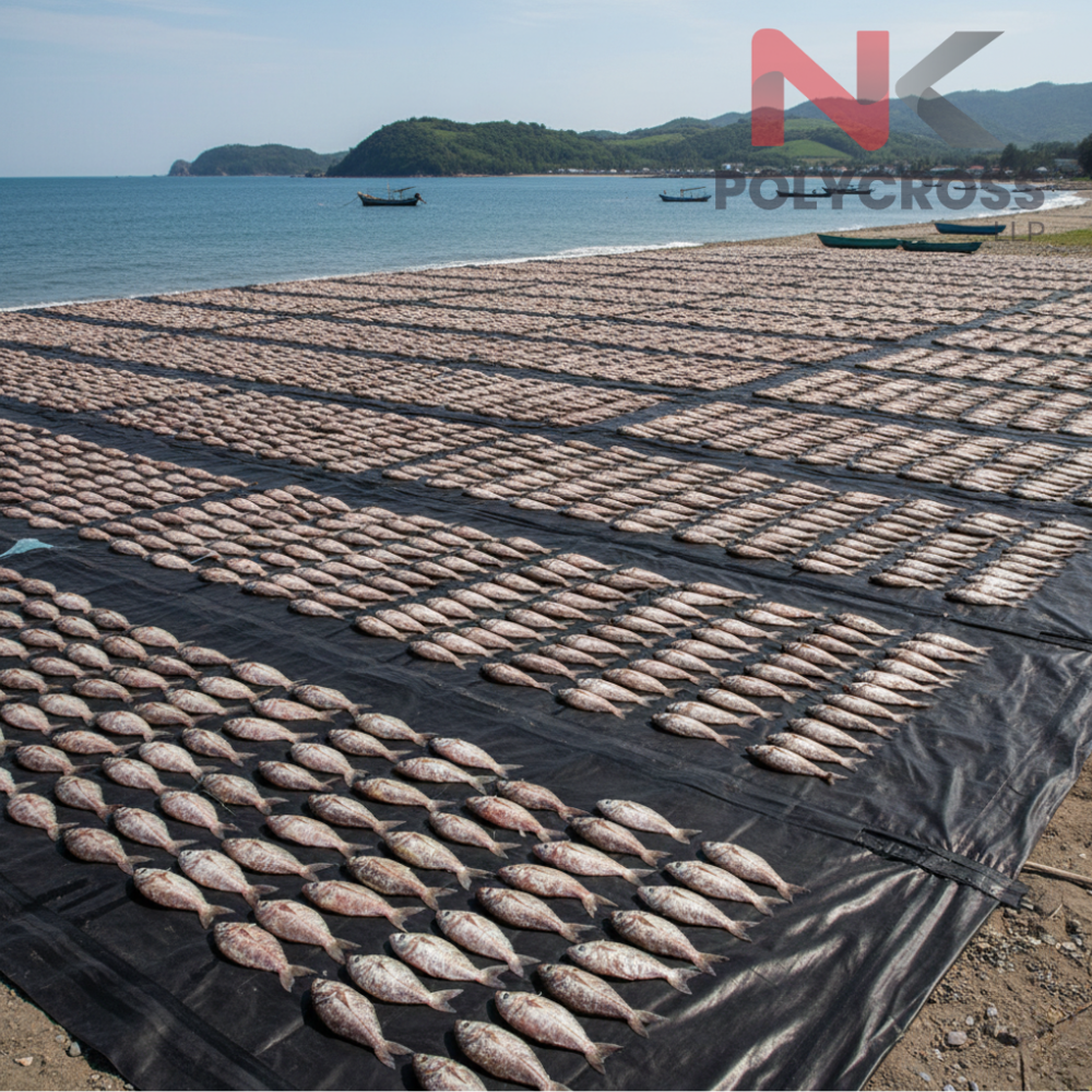 Fish Drying Ground Sheet - Color: Blue