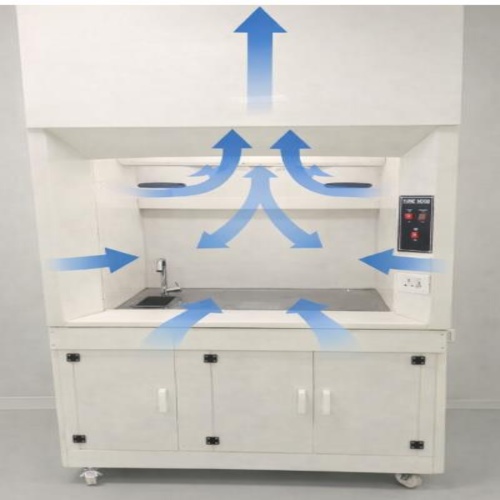 à¤ªà¥à¤ªà¥ à¤«à¥à¤¯à¥à¤® à¤¹à¥à¤¡