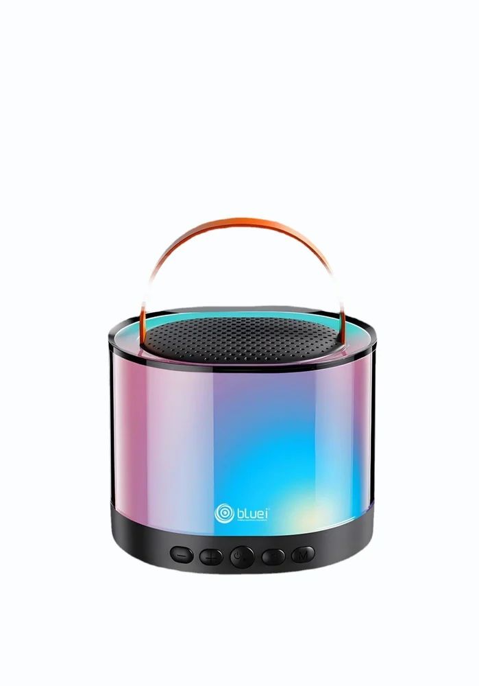 Amplifier Bluetooth Speaker with Wireless Microphone