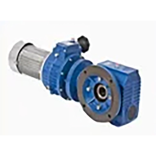 Helical Worm Gear Motor
