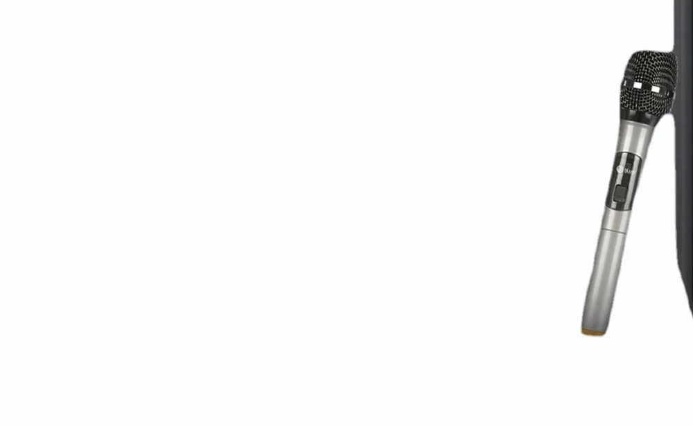 Bluei Party Box 1 Bluetooth Speaker