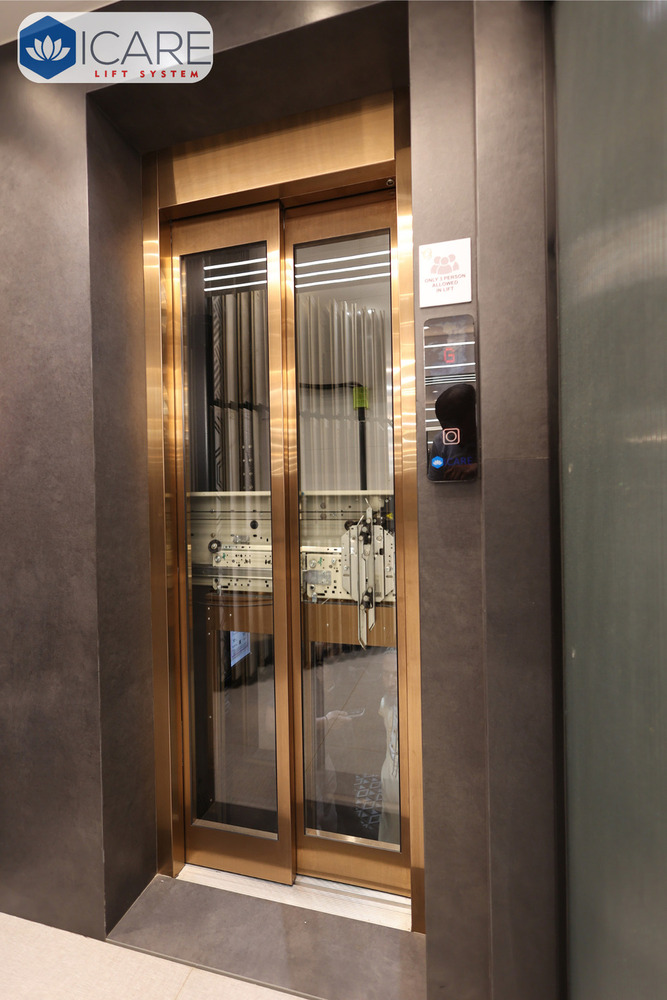 Customised Passenger Elevator