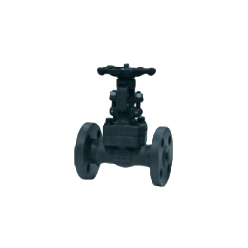 Forge Steel Valve
