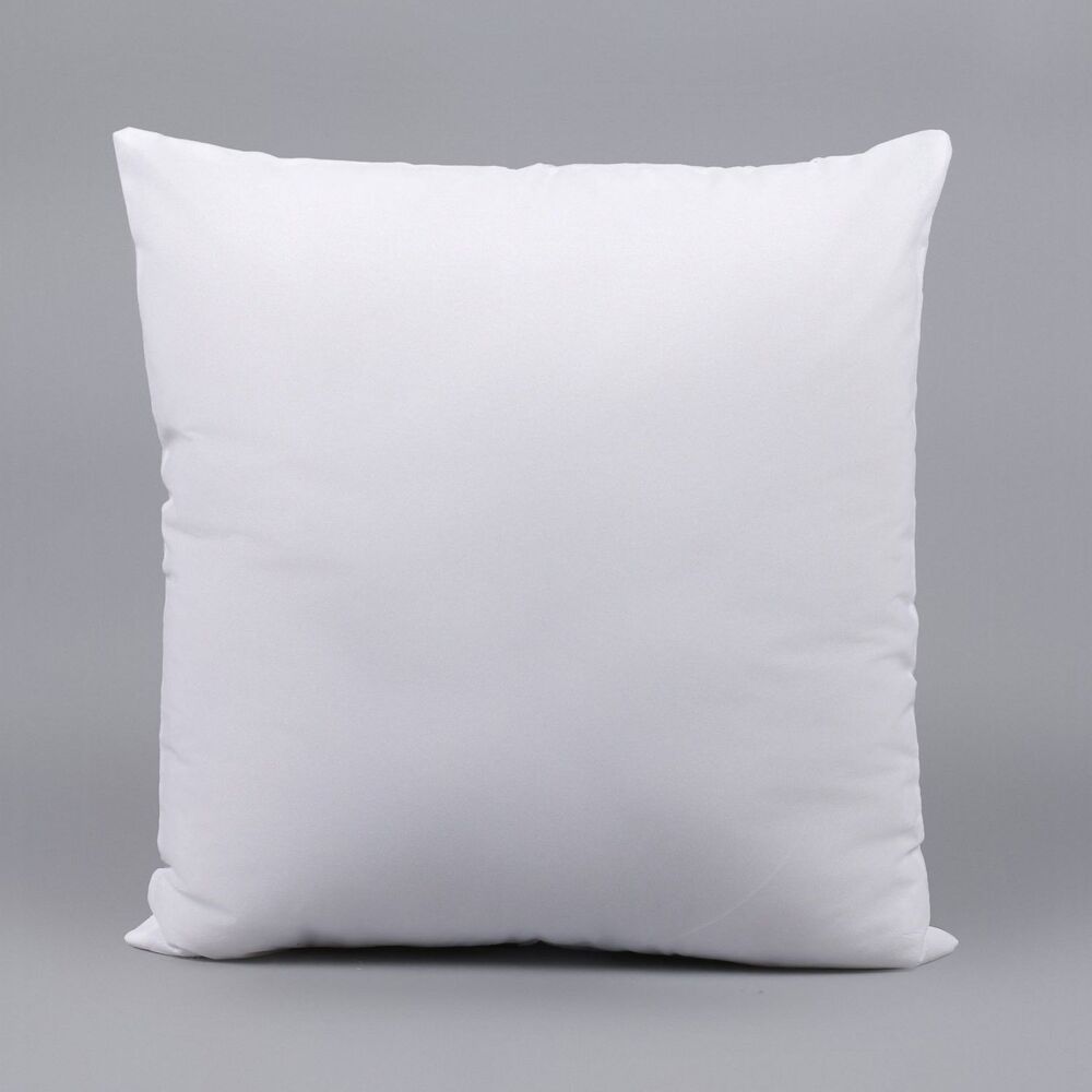 19x19 Inch Filled Cushion