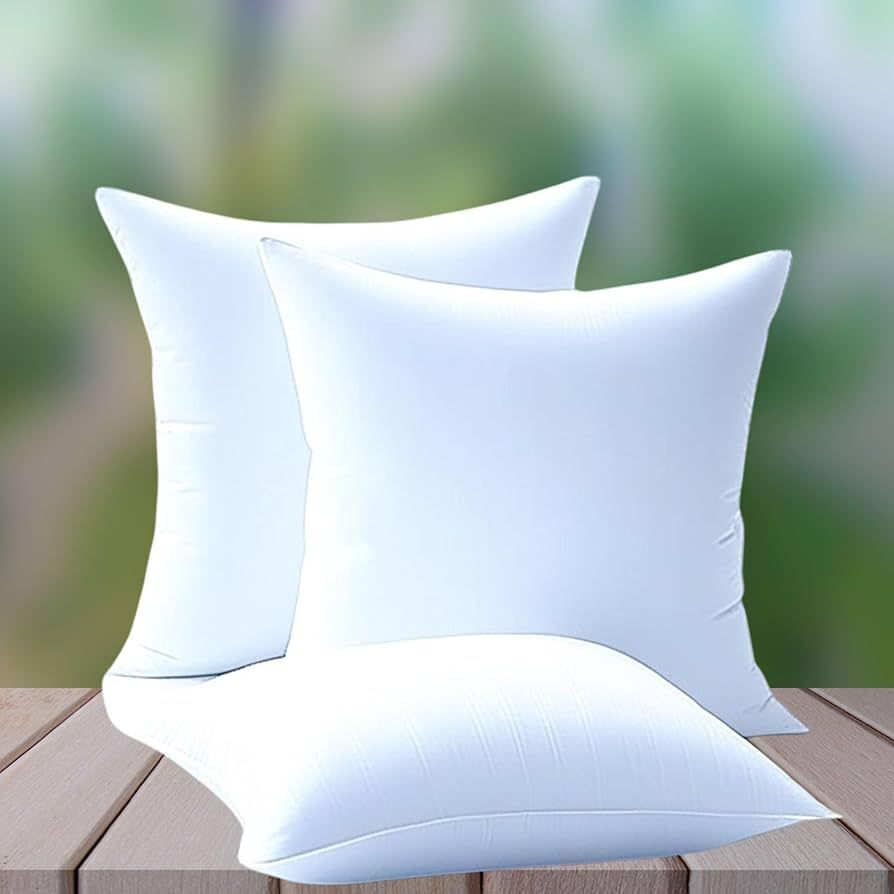 20x20 Inch Filled Cushion
