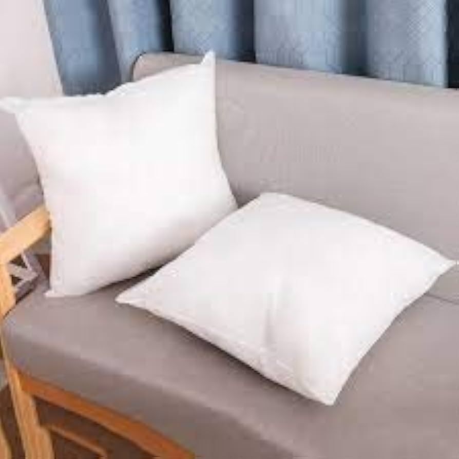 22x22 Inch Filled Cushion