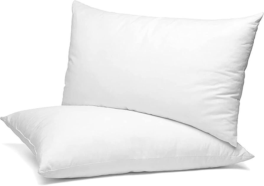 20x26 Inch Filled Pillow