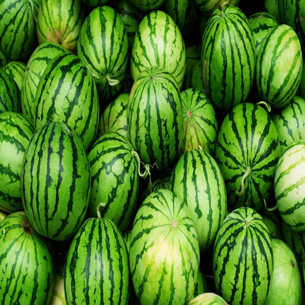 Fresh watermelon