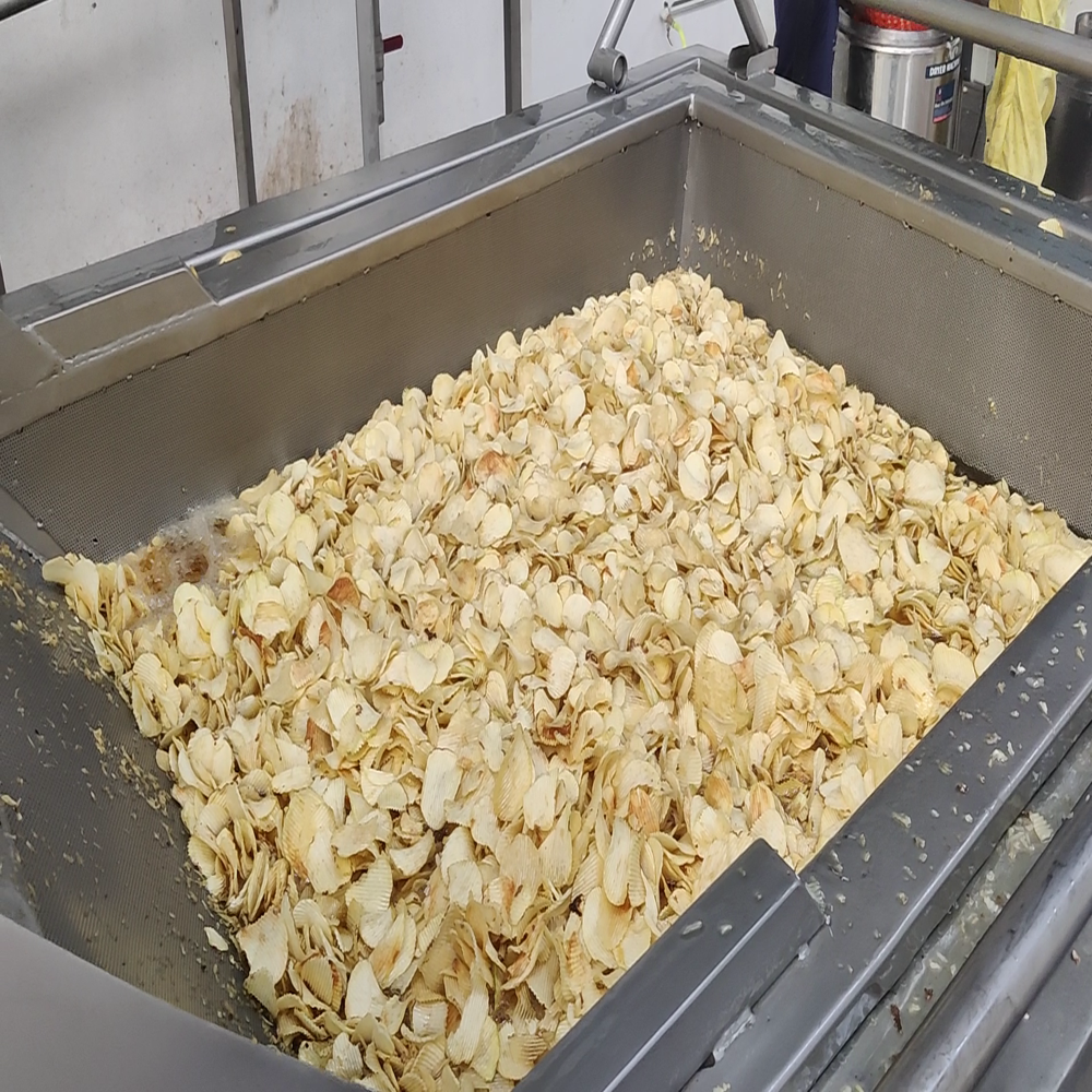 Batch Type Potato Chips Fryer 
