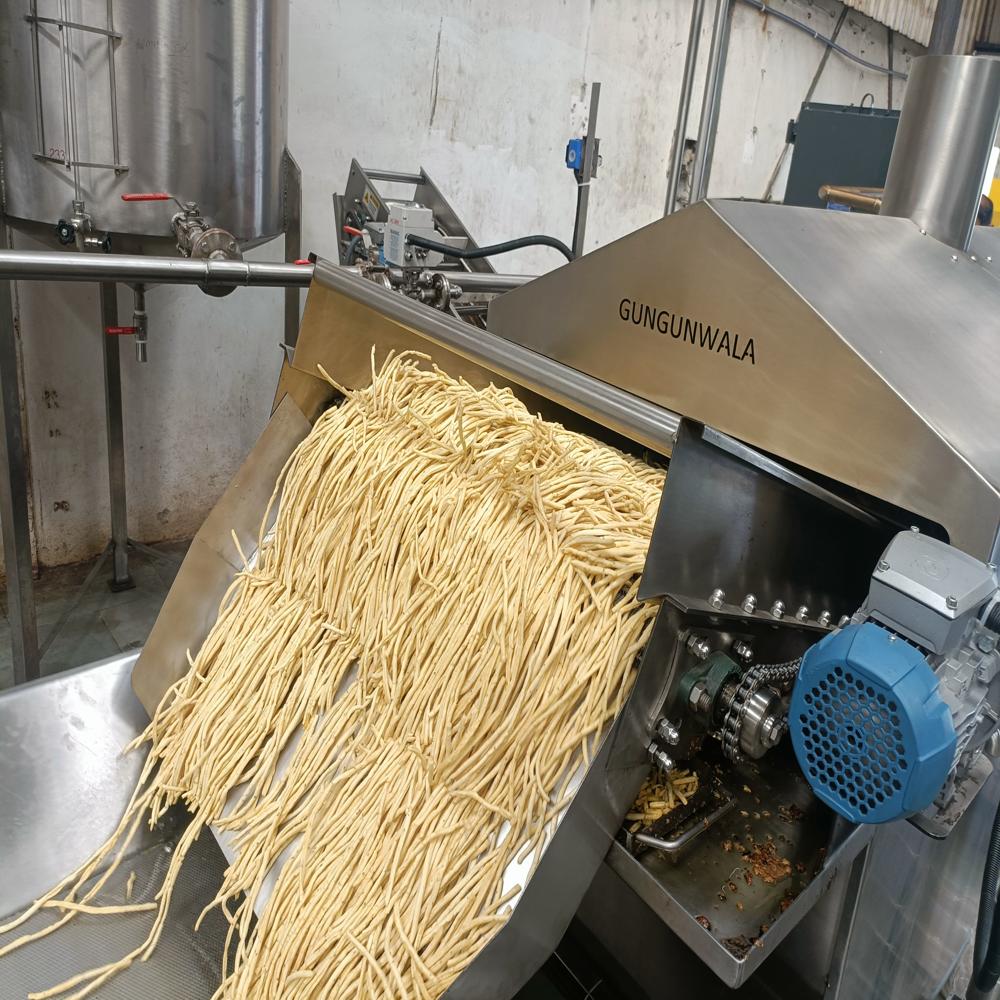 Continuous Namkeen Fryer
