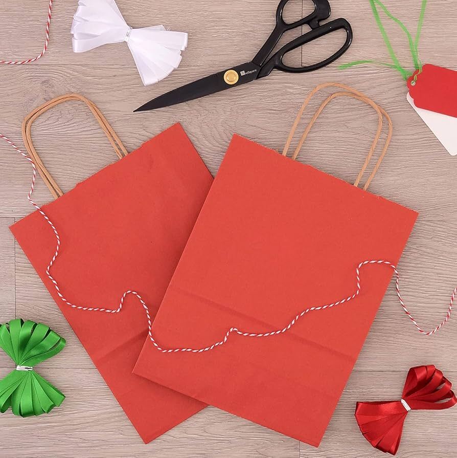 Single Color Return Gift Bag