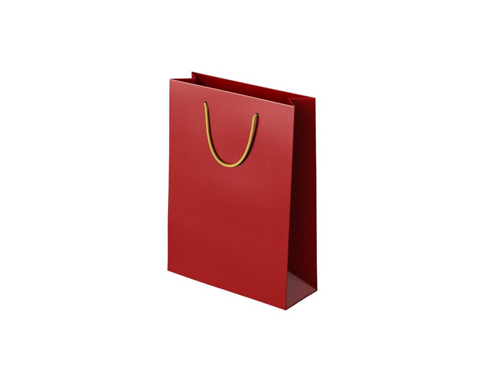 Mehroon Color Return Gift Bag