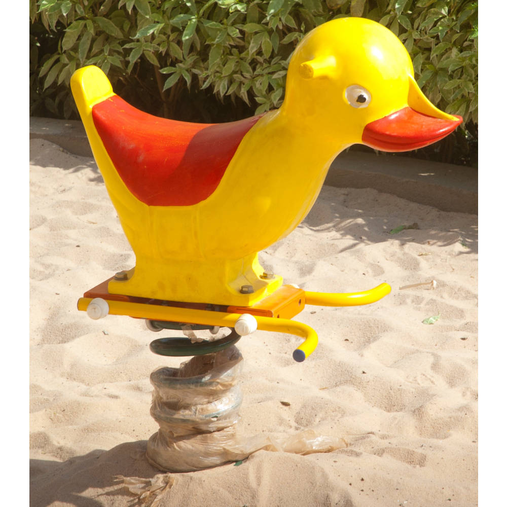 Duck Spring Rider