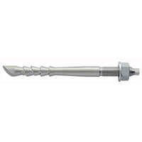 Has-tz Anchor Rod