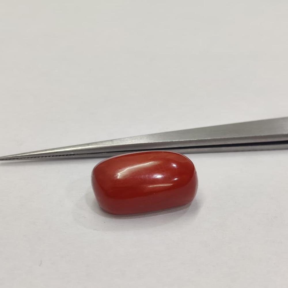 Natural Red Coral 22.70 Ratti (moonga)
