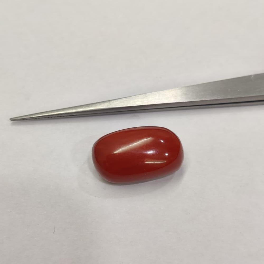 Natural Red Coral 22.70 ratti (Moonga)