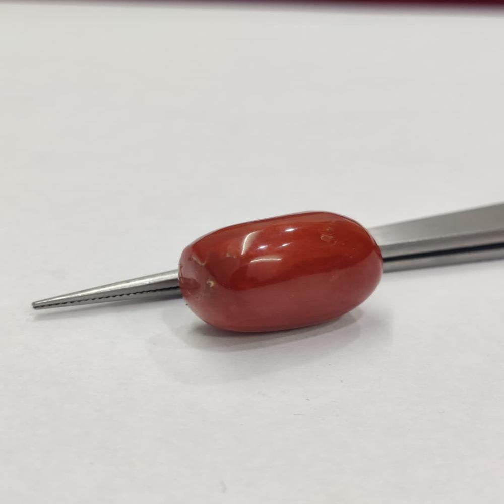Natural Red Coral 22.70 ratti (Moonga)