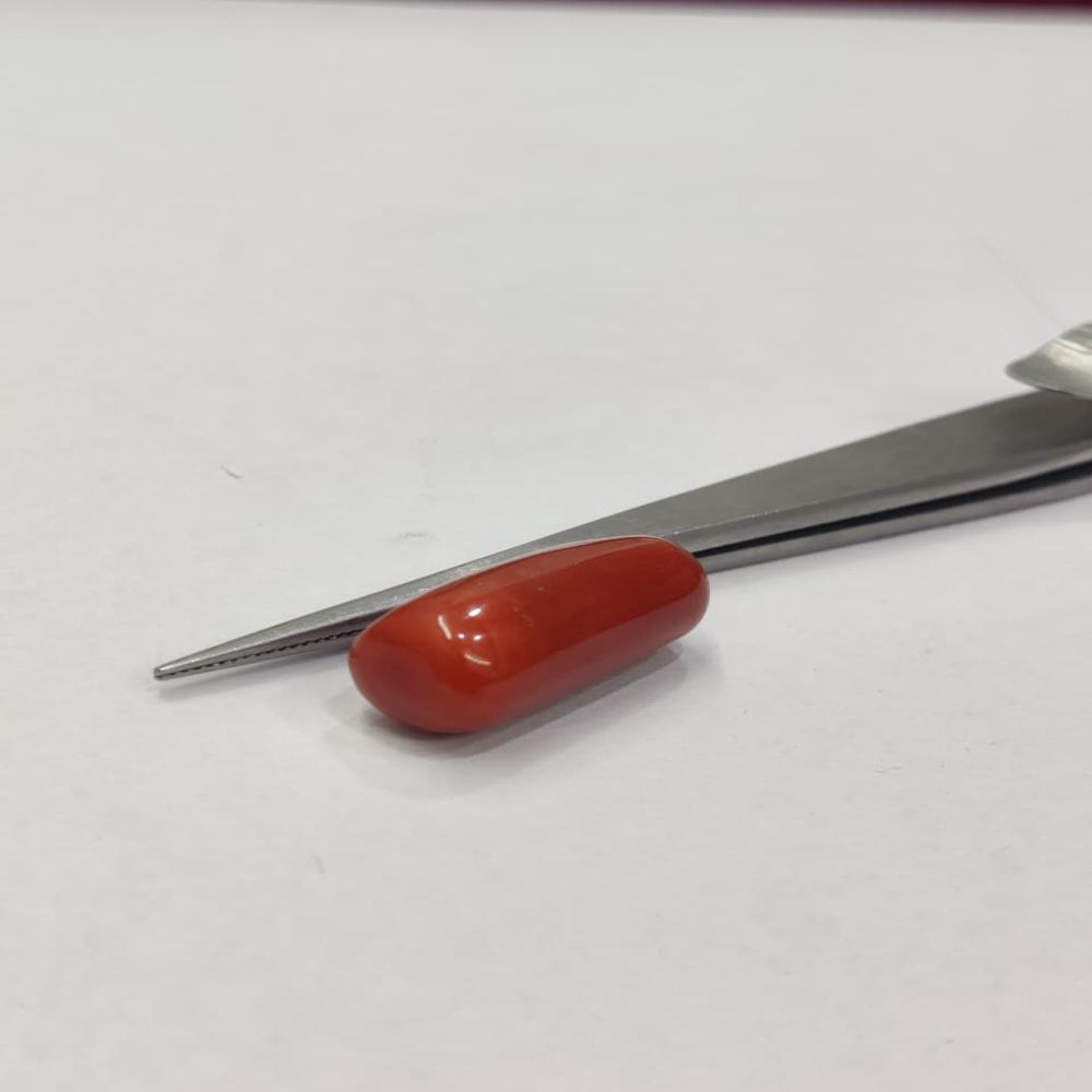 Natural Red Coral 14.60 ratti (Moonga)